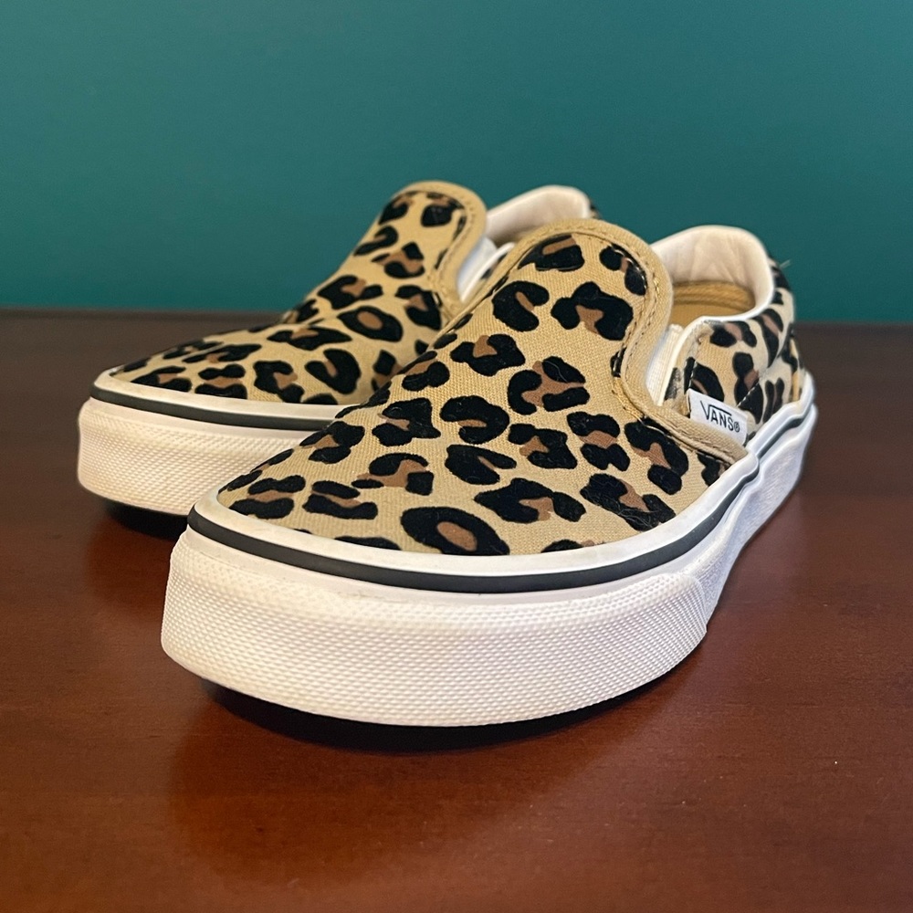 Vans Slip-On Skate Shoe